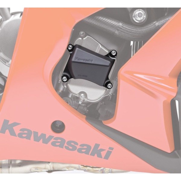 Kawasaki Engine Slider Pads ZX-10R